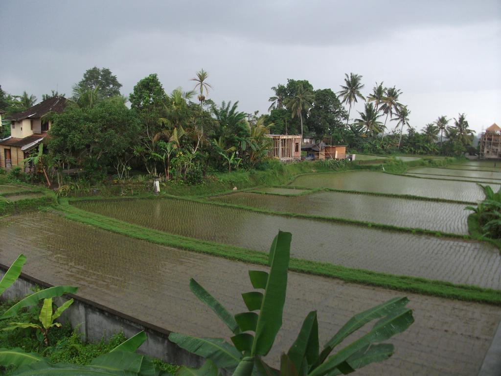 Suwar Bungalows Ubud Dış mekan fotoğraf